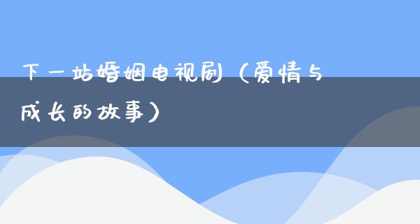 下一站婚姻电视剧（爱情与成长的故事）