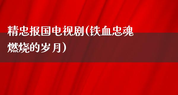 精忠报国电视剧(铁血忠魂燃烧的岁月)