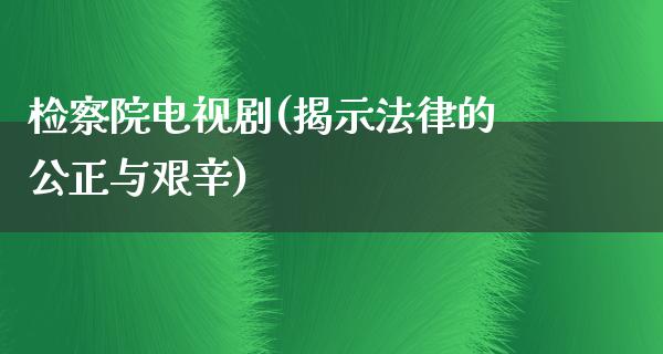 ***电视剧(揭示法律的公正与艰辛)