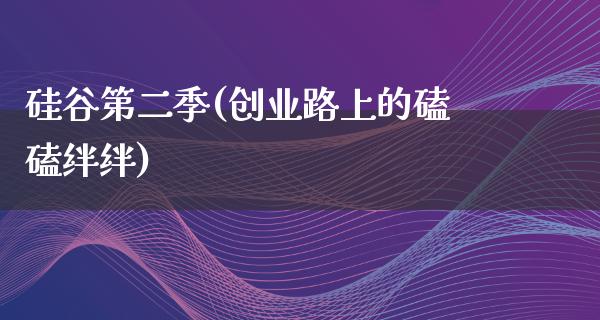 硅谷第二季(创业路上的磕磕绊绊)