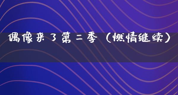 偶像来了第二季（燃情继续）