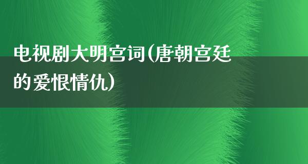 电视剧大明宫词(唐朝宫廷的爱恨情仇)