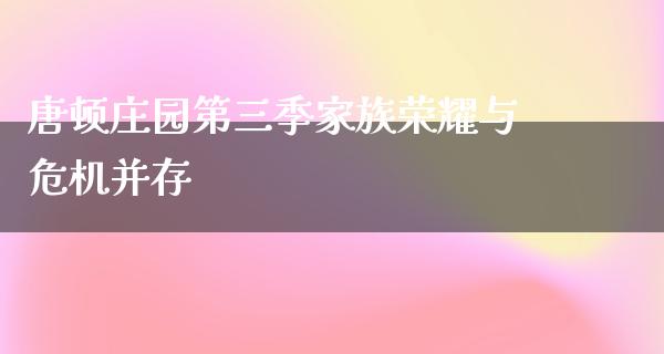 唐顿庄园第三季家族荣耀与危机并存