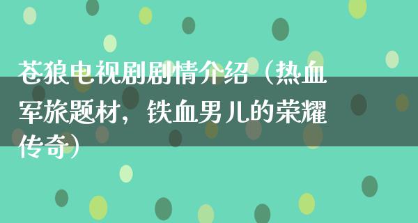 苍狼电视剧剧情介绍（热血军旅题材，铁血男儿的荣耀传奇）