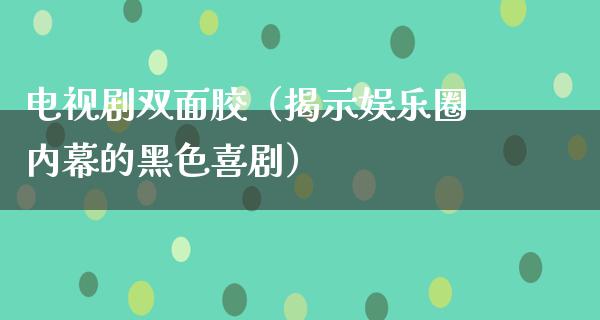 电视剧双面胶（揭示娱乐圈**的黑色喜剧）