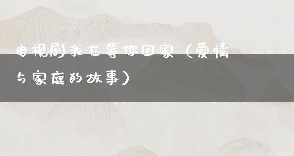 电视剧我在等你回家（爱情与家庭的故事）