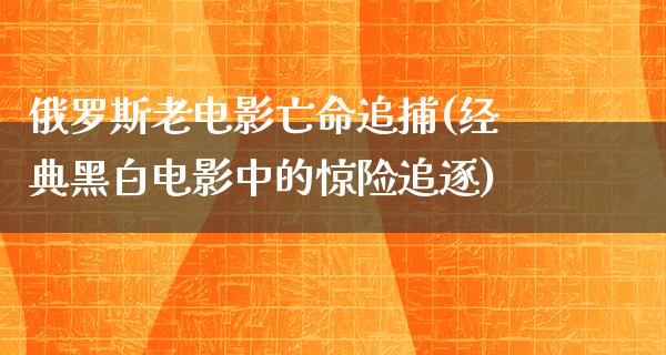 俄罗斯老电影亡命追捕(经典黑白电影中的惊险追逐)