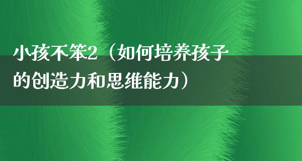 小孩不笨2（如何培养孩子的创造力和思维能力）