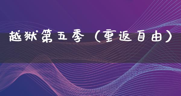 越狱第五季（重返**）