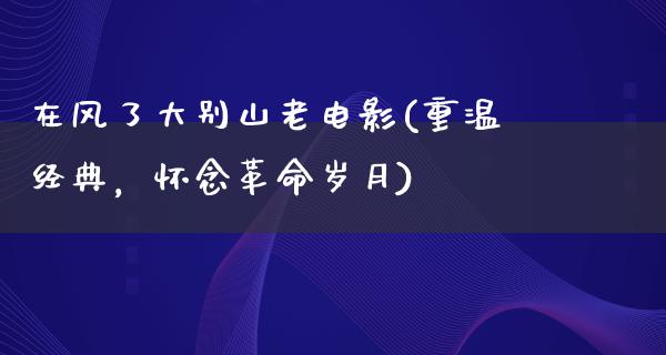 在风了大别山老电影(重温经典，怀念革命岁月)