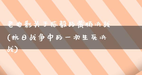 老电影关于陈毅的黄桥决战(抗日战争中的一次生死决战)