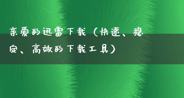 亲爱的****（快速、稳定、高效的下载工具）