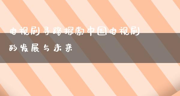 电视剧寻路探索中国电视剧的发展与未来