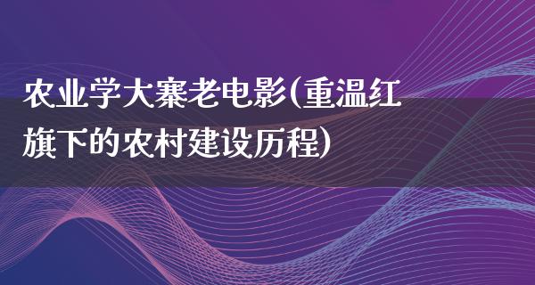 农业学大寨老电影(重温红旗下的农村建设历程)