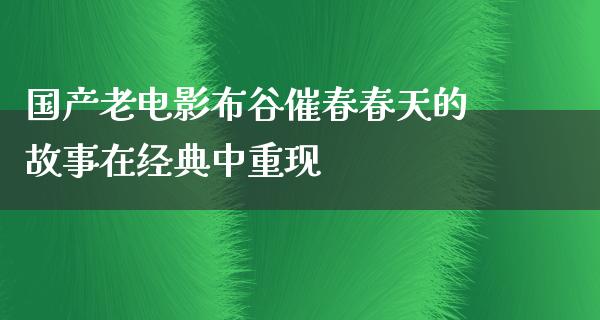 国产老电影布谷催春春天的故事在经典中重现