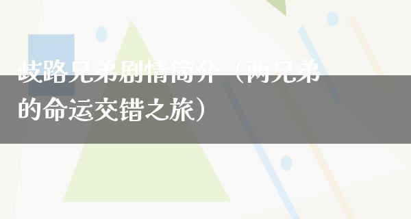 歧路兄弟剧情简介（两兄弟的命运交错之旅）