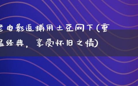 老电影追捕用土豆网下(重温经典，享受怀旧之情)