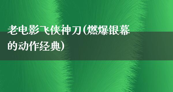 老电影飞侠神刀(燃爆银幕的动作经典)