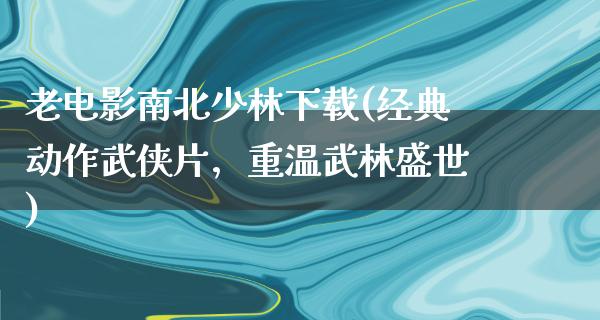 老电影南北少林下载(经典动作武侠片，重温武林盛世)