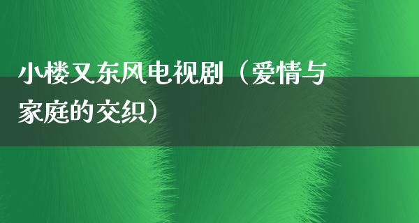 小楼又东风电视剧（爱情与家庭的交织）