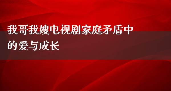 我哥我嫂电视剧家庭矛盾中的爱与成长