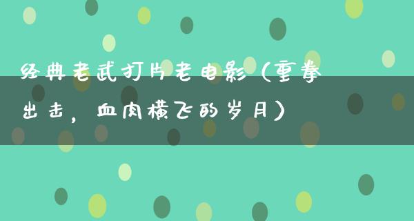 经典老武打片老电影（重拳出击，血肉横飞的岁月）