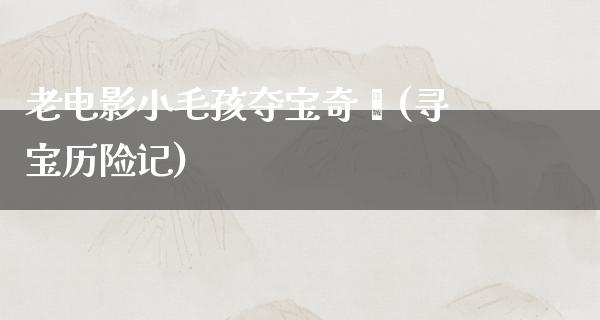 老电影小毛孩夺宝奇绮(寻宝历险记)