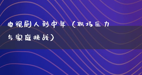 电视剧人到中年（职场压力与家庭挑战）