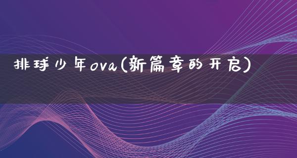 排球少年ova(新篇章的开启)