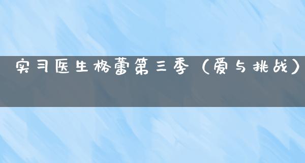 实习医生格蕾第三季（爱与挑战）