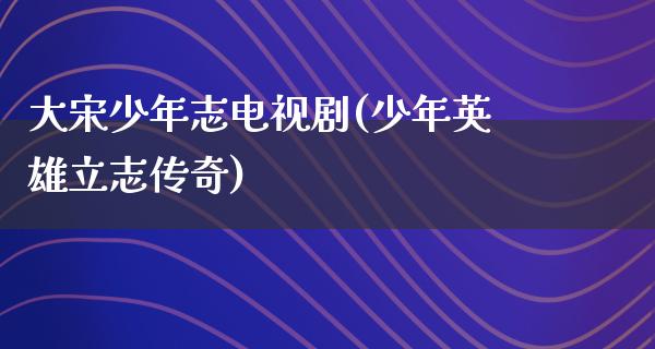 大宋少年志电视剧(少年英雄立志传奇)