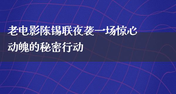 老电影陈锡联夜袭一场惊心动魄的秘密行动