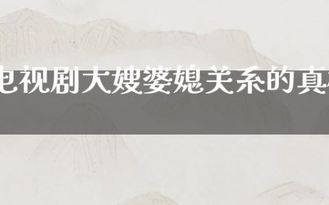 电视剧大嫂婆媳关系的**