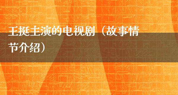 王挺主演的电视剧（故事情节介绍）