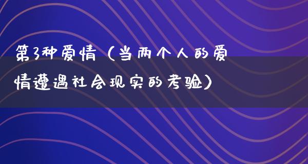 第3种爱情（当两个人的爱情遭遇社会现实的考验）