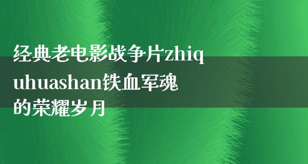 经典老电影战争片zhiquhuashan铁血军魂的荣耀岁月