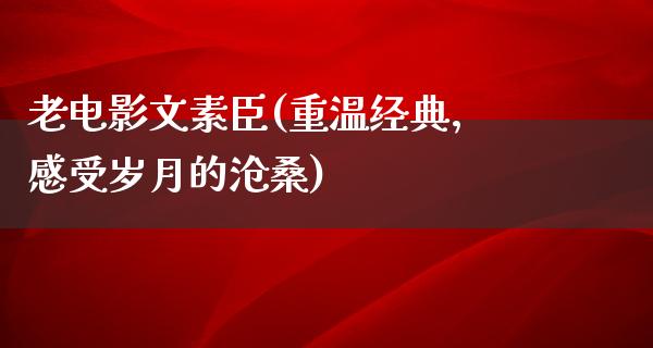 老电影文素臣(重温经典，感受岁月的沧桑)