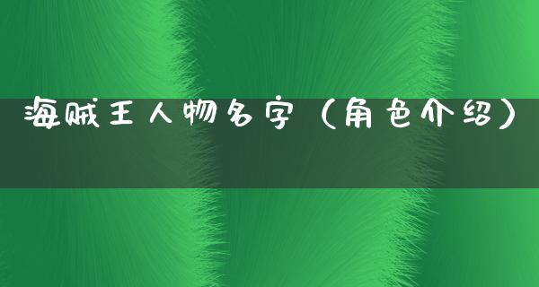 海贼王人物名字（角色介绍）