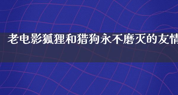 老电影狐狸和猎狗永不磨灭的友情