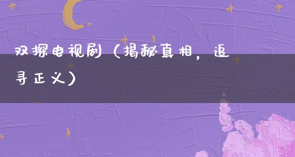 双探电视剧（揭秘**，追寻正义）