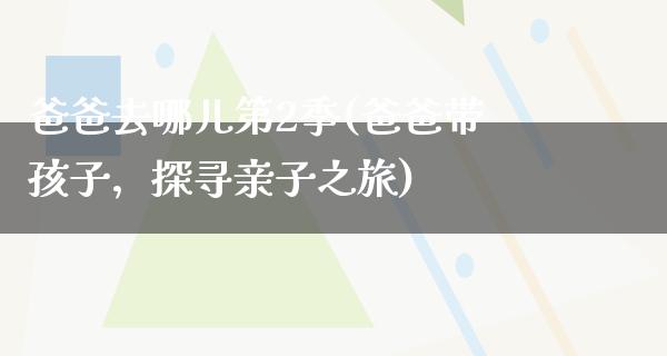 爸爸去哪儿第2季(爸爸带孩子，探寻亲子之旅)