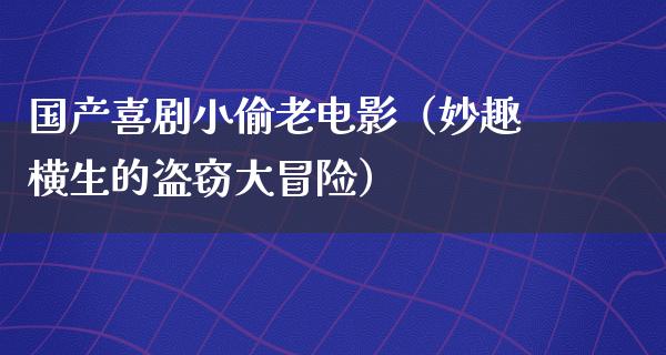 国产喜剧小偷老电影（妙趣横生的盗窃大冒险）