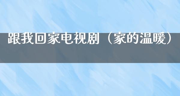 跟我回家电视剧（家的温暖）