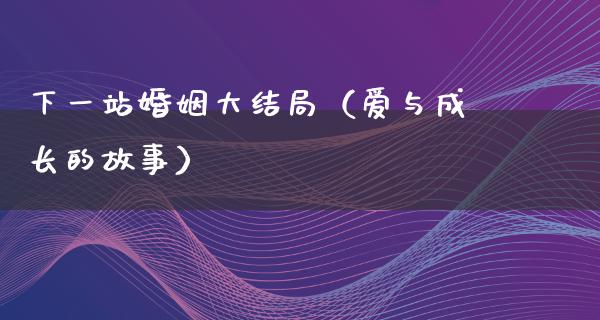 下一站婚姻大结局（爱与成长的故事）