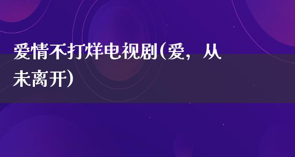 爱情不打烊电视剧(爱，从未离开)