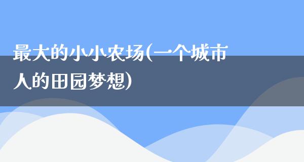 最大的小小农场(一个城市人的田园梦想)