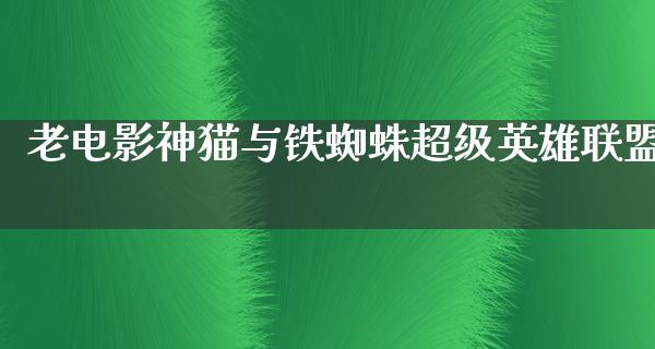 老电影神猫与铁蜘蛛超级英雄联盟