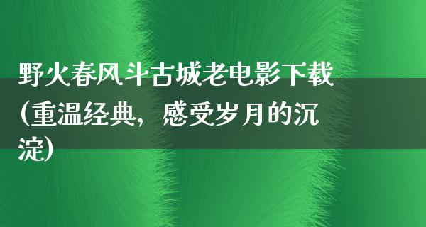 野火春风斗古城老电影下载(重温经典，感受岁月的沉淀)