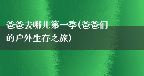 爸爸去哪儿第一季(爸爸们的户外生存之旅)