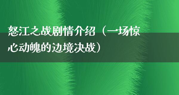 怒江之战剧情介绍（一场惊心动魄的边境决战）